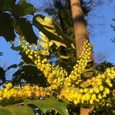 Hygge - Luxe Met Grote Tuin Casa vacanze