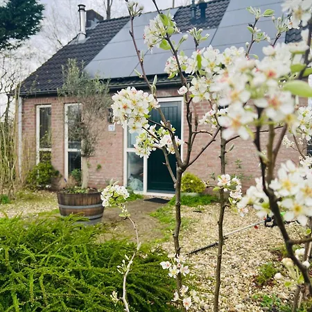 Semesterbostad Hygge - Luxe Met Grote Tuin