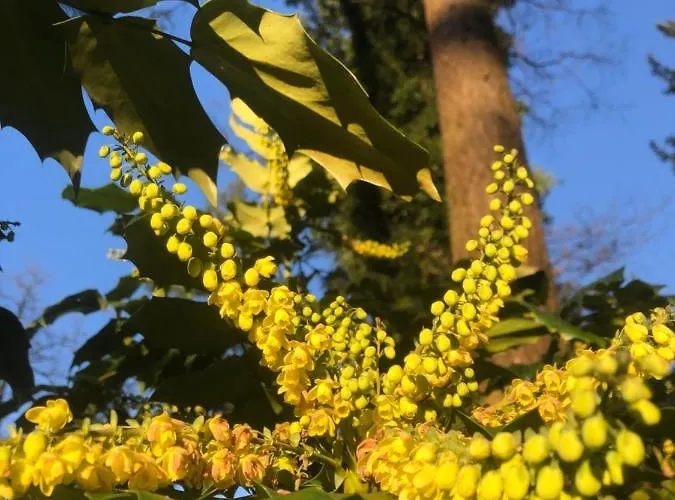 Hygge - Luxe Met Grote Tuin Holiday home