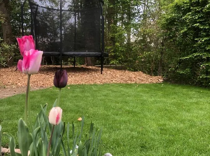 Hygge - Luxe Met Grote Tuin *