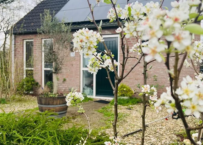 Holiday home Hygge - Luxe Met Grote Tuin